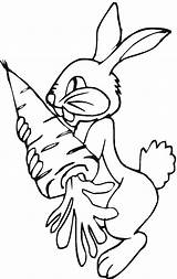 Bunny Holds A Big carrot Coloring Page  Free Printable Pages sketch template