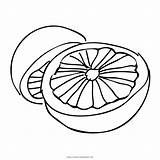 Grapefruit Coloring Pages  Coloring Nation sketch template