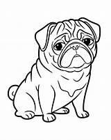 Pug Dog coloring Page  Download Print Or Color Online For Free sketch template