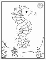 Super Cute Free Printable Seahorse Coloring Pages  sketch template