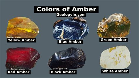 Amber Colors: What Are the Different Colors of Amber – Geology In