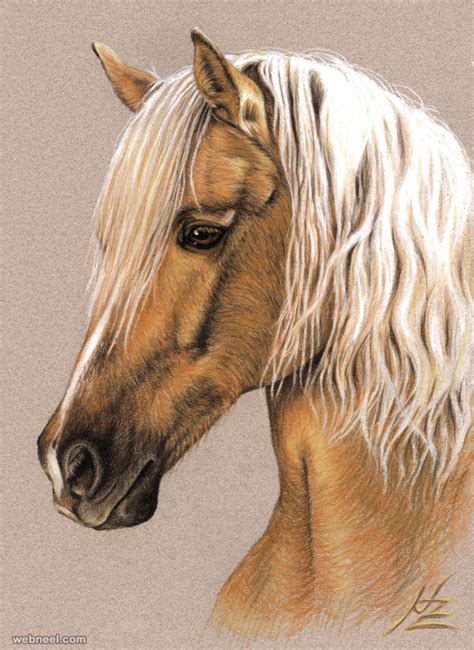 25 Beautiful Animal Drawings for your inspiration - How to Draw Animals