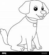 Coloring Pages Dog Breeds sketch template
