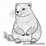 Gopher Coloring Pages  Free & Printable sketch template