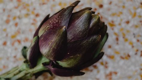 Top 5 Best Artichoke Companion Plants