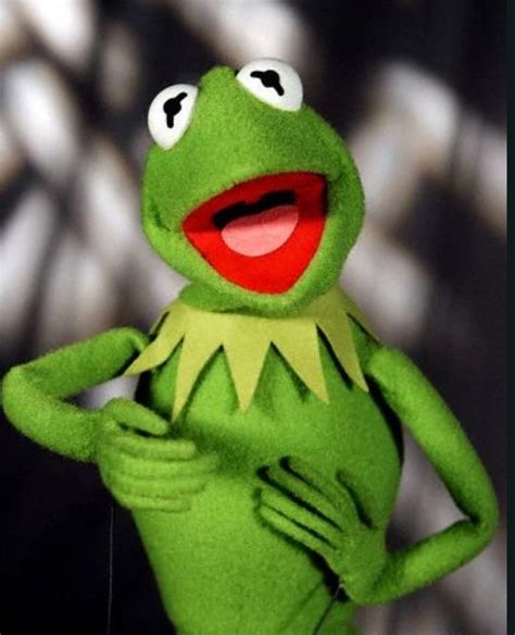 Kermit, o Sapo | Disney Wiki | Fandom