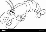 Lobster Coloring Page Isolated For Kids Stock Vector Image & Art  Alamy sketch template