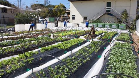 THE MINI FARM PROJECT: MAKING FOOD ACCESSIBLE FOR ALL - Wine & Dine'm Catering