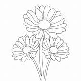 Gerber Daisy Coloring Page sketch template
