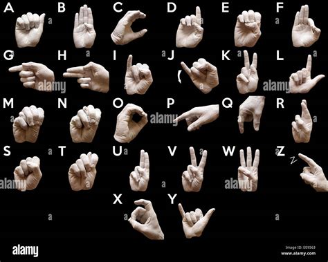ASL Alphabet Hand Signs