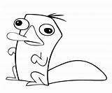 Perry The Platypus Coloring Pages sketch template