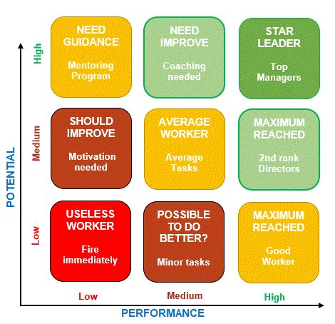 9-Box Performance grid perfectly explained | Helpful Examples