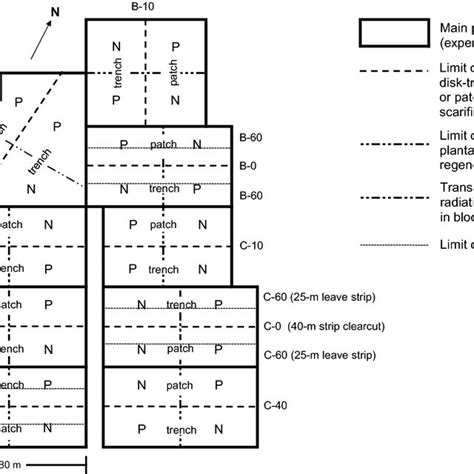 Layout of the split–split-split plot experimental design. Each... | Download Scientific Diagram