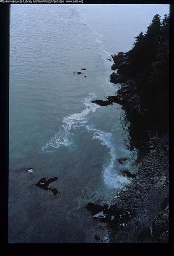 Exxon Valdez Oil Spill - 0114 | Oil sheen bleeds from beach … | Flickr