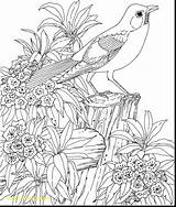 Adult Nature Coloring Pages sketch template