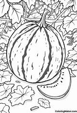 Melon Coloring Pages 4 Free Printables  ColoringMaker sketch template