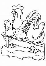 Coloring Page rooster And hens  Free Printables Img 6783 sketch template
