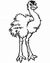 Ostrich Coloring Page sketch template