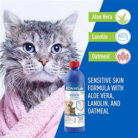 Best Flea Shampoo For Cats To Conquer Annoying Fleas