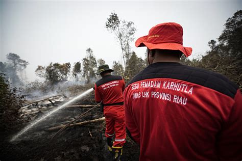 Peatland Fires In Riau Indonesia Stock Photo - Download Image Now - Color Image, Colors, Fog ...