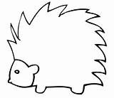 Porcupine Coloring Pages  Clipartsco sketch template