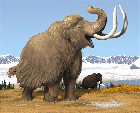 Paleoillustration | Ancient animals, Prehistoric creatures, Extinct animals