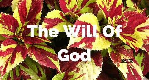 Bible Study - What Is the Will of God? How to Define the Will of God?
