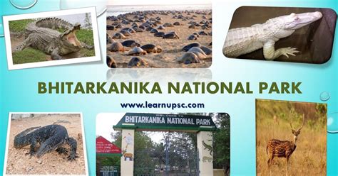 Bhitarkanika National Park - Learn UPSC