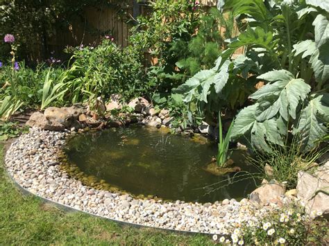 How To Build A Wildlife Pond :: Part 2 – the small gardener