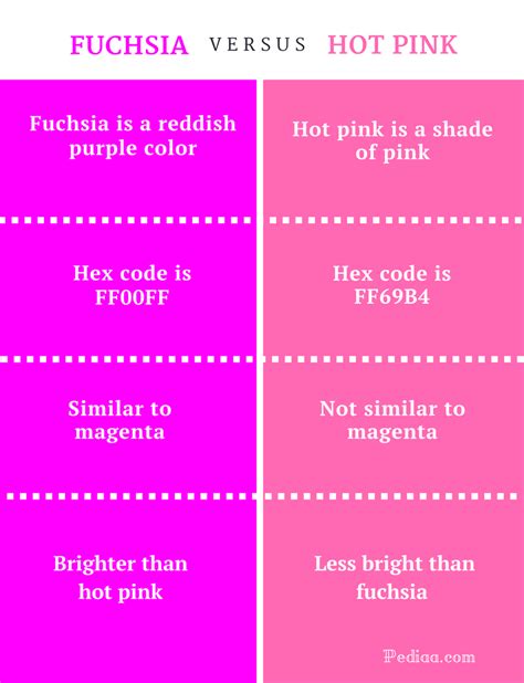 Fuchsia vs Hot Pink: What's the Difference?