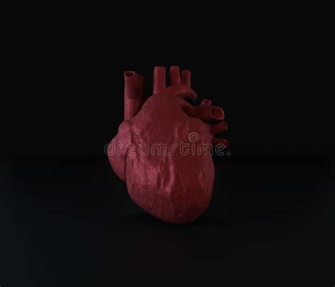 Human Heart On A Black Background Stock Illustration - Illustration of ...