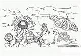 Free Printable Nature Coloring Pages For Kids  Best sketch template