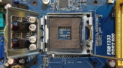 Čestitam crtač Knjiga best cpu socket lga775 potreban odabrati Ukras