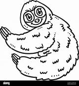 Baby Sloth Isolated Coloring Page For Kids Stock Vector Image & Art  Alamy sketch template