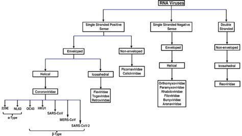 Classification of RNA-based viruses and flow-chart showing the ...