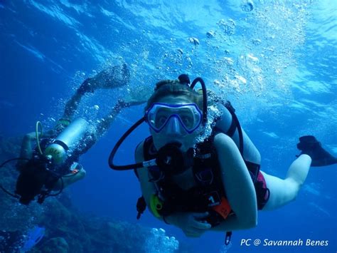 12 Essential Scuba Diving Tips For Beginners - ScubaCo Diving & Travel