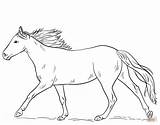 Coloring Pages Of Horses Printable sketch template