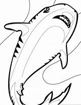 Basking Shark Coloring Pages At GetDrawings  Free Download sketch template