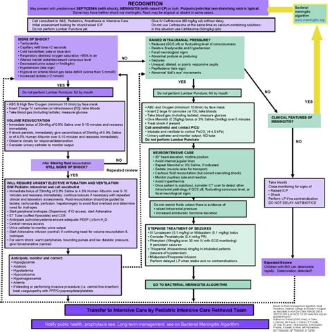 Treatment of Meningococcal Disease - Journal of Adolescent Health