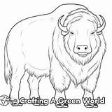 Musk Ox Coloring Pages  Free & Printable sketch template