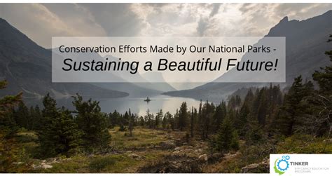 Conservation Efforts Made by Our National Parks - Sustaining a ...