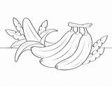 32  Banana Coloring Page sketch template
