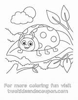 Free Ladybug Coloring Pages For Kids And Adults sketch template