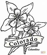 Colorado coloring page  Free Printable Coloring Pages sketch template