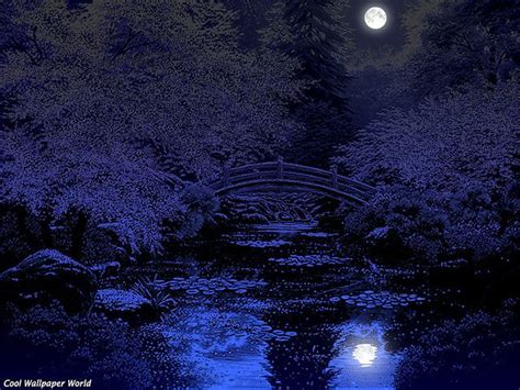 Japanese garden at night | Ocean at night, Night landscape, Japanese garden