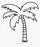 Palm Tree Coloring Pages A Tropical Escape For Kids sketch template