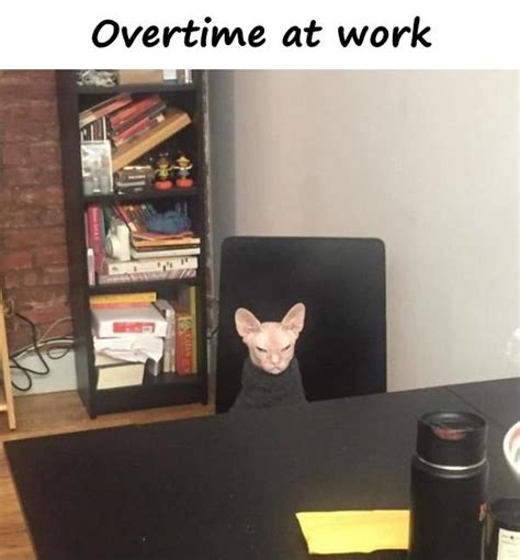 Overtime - funny, crazy, work, humor, meme, images, funny - xdPedia.com