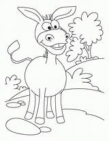 Donkey Coloring Page  Home sketch template