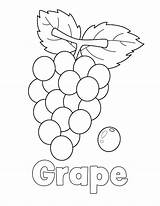 Grapes Coloring Page sketch template