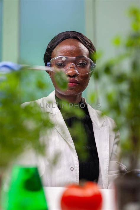 African researcher taking green leaf sample from petri dish putting under microscope Royalty ...